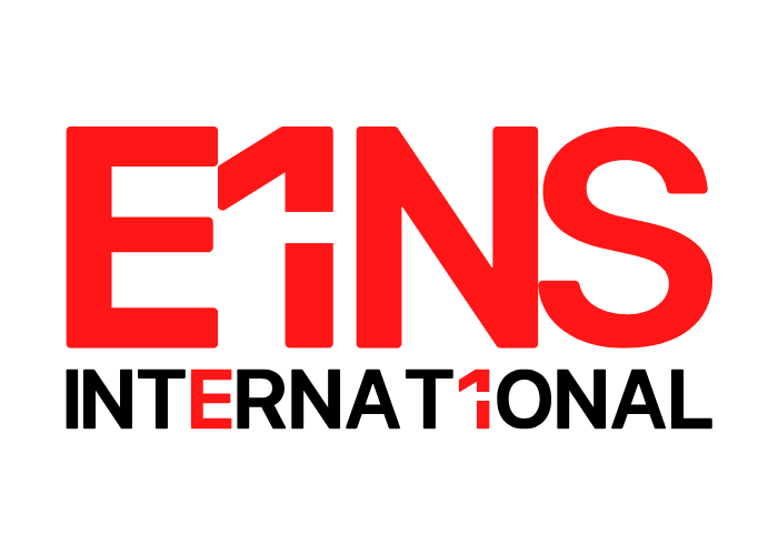 EINS Consultora